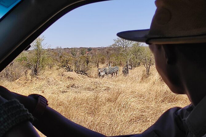 Safari in Victoria Falls and Zambezi National Park - Price and park fee: what $119 really covers