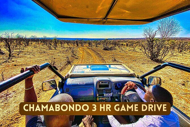 Safari in Victoria Falls and Zambezi National Park - Tips that help you get more from a 3-hour bush drive