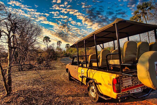 Safari in Victoria Falls and Zambezi National Park - Inside the open 4x4 game viewer: how the drive actually works