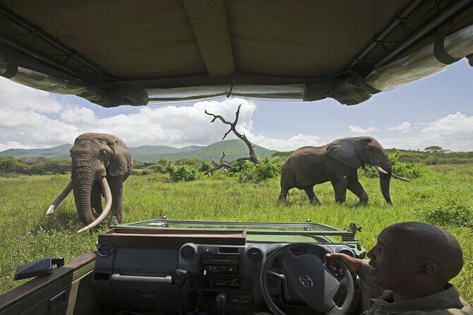 Small Group: Zambezi National Park Guided Game Drive - The guides: Itela, Kennedy, and Richard make the drive feel personal