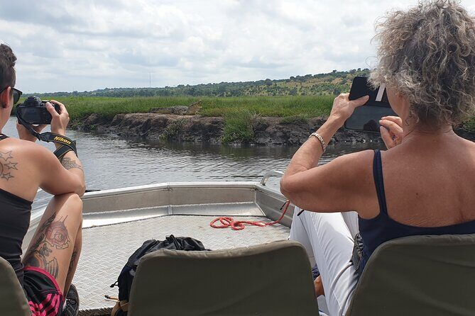 Standard Sunset Cruise - Wildlife Chances: What You Can Realistically Look For