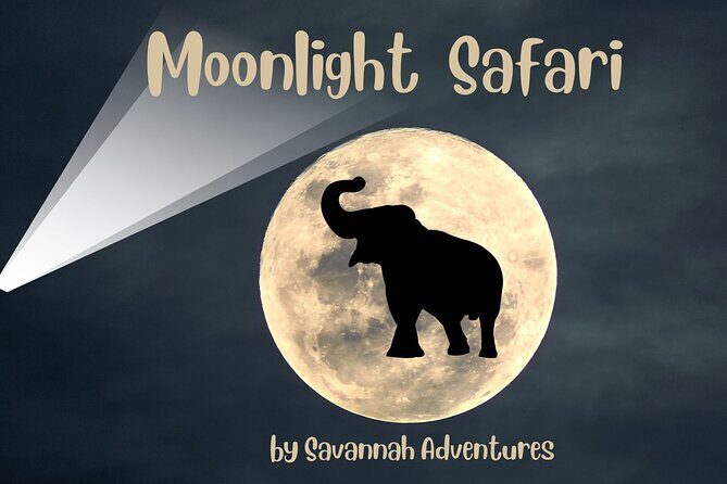 Stargazing and Moonlight Experience - Key highlights before you go