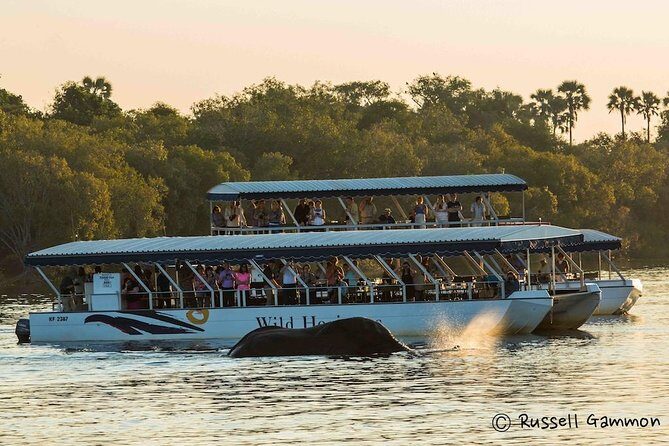 Sundowner Cruise on Zambezi River (Zimbabwe) - Key Things to Know Before You Go