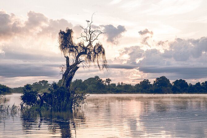 Sunrise Cruise on the Zambezi River - Who this cruise suits best (and who should skip it)