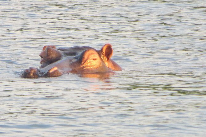 Sunset Cruise & Guided Falls Tour Combo - Who Should Book This (and Who Might Want to Choose One Activity)