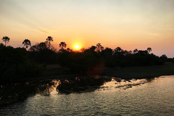 Sunset Cruise Wildlife Watching Experience at Zambezi River - On the Water: Finger Snacks, Beer/Wine/Spirits, and Real Sunset Views