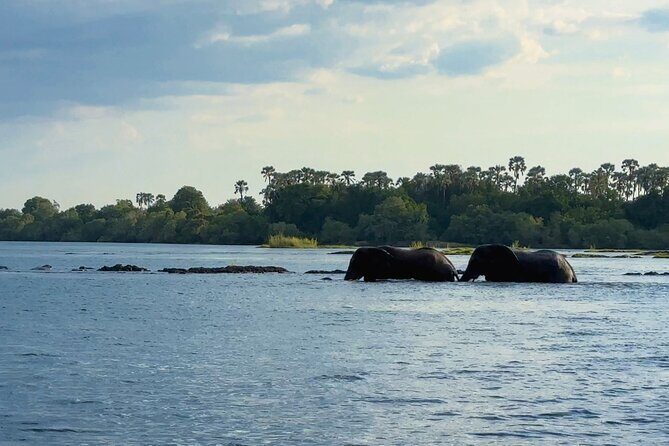 Sunset Cruises on the Zambezi River from Victoria Falls - The Ndebele Welcome: More Than a Photo Op