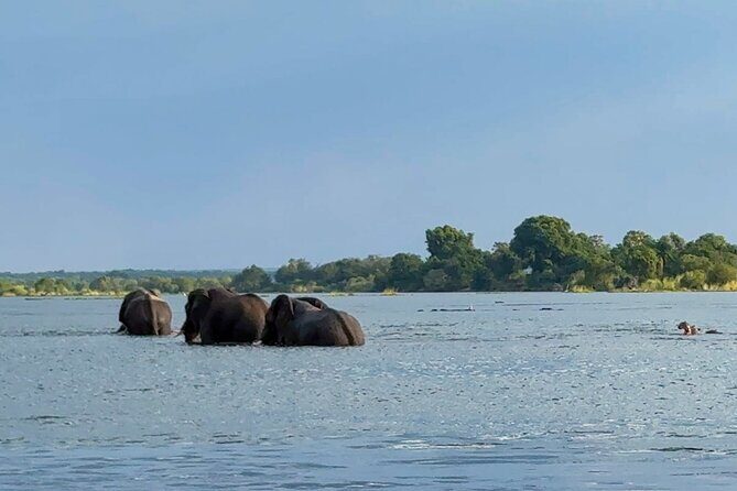 Sunset Cruises on the Zambezi River from Victoria Falls - Boarding the Boat: Upper vs Lower Deck and Port vs Starboard