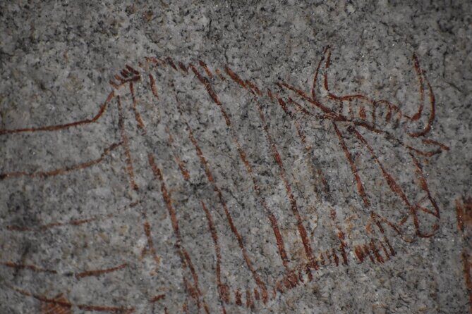 The Best of Matobo - Rhinos and Other Wildlife: What “Tracking” Means on This Tour