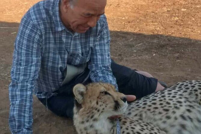 The Cheetah Experience - Key Things That Make This Cheetah Experience Worth It