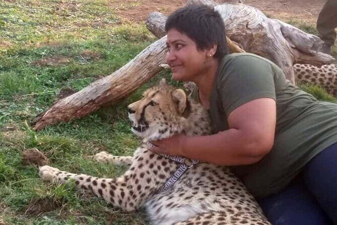 The Cheetah Experience - The 3-Hour Flow: From Briefing to Bush Walk