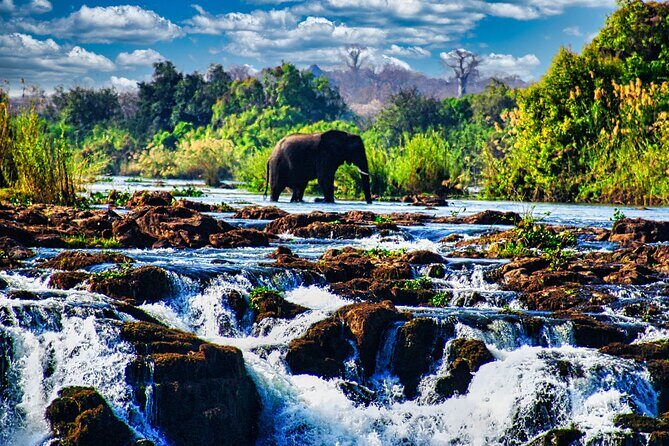 Unique Safari Game Drives in Zambezi National Park, 4 Options - Key things to know before you go