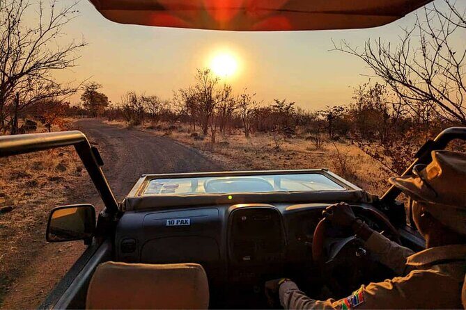 Unique Safari Game Drives in Zambezi National Park, 4 Options - Pick Your Safari Style: high tea vintage setup, braai lunch, private or regular drive