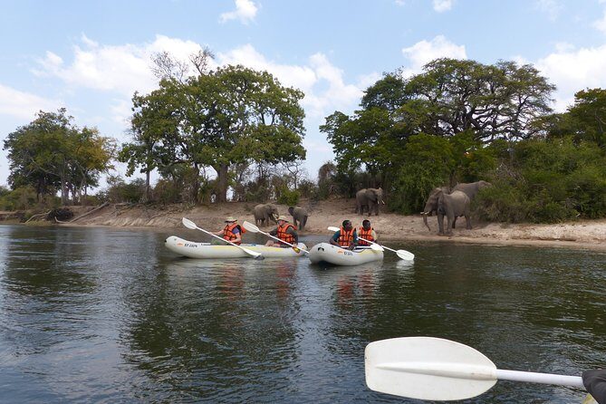 Upper Zambezi Canoeing - Key things to know before you paddle