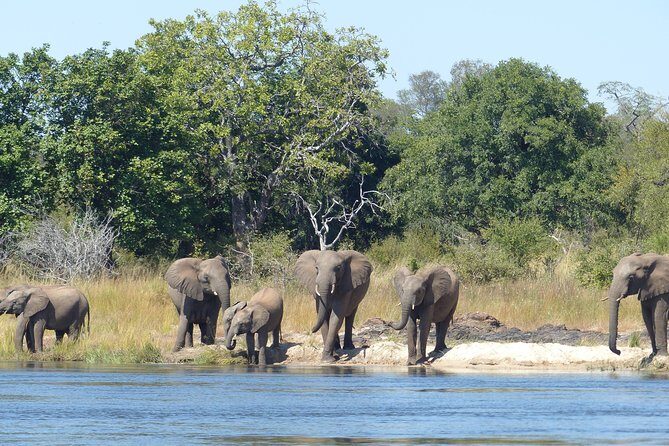 Upper Zambezi Canoeing - From Victoria Falls to the canoe launch: the morning plan