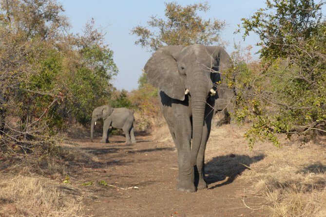 Upper Zambezi Canoeing - Price and value: is $180 worth it?