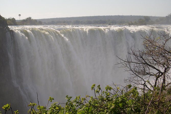 Victoria Falls And Chobe - Day 2 at Victoria Falls National Park: A Guided Walk with Real Explanations