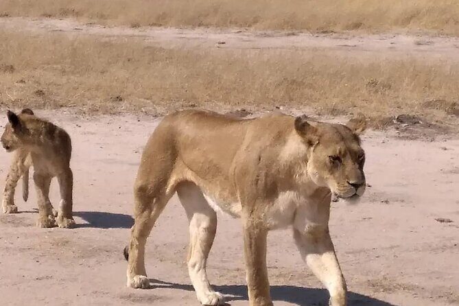 Victoria Falls And Chobe - Guides, Lodging, and Small-Group Comfort