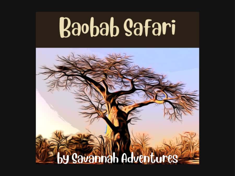Victoria Falls: Baobab Safari - Sunrise and Mid Morning - Key Points I’d Plan Around