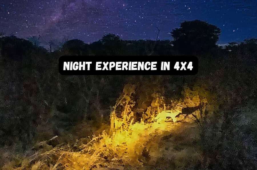 Victoria Falls: Bush Experience and Stargazing D-F-ES-GB - A 2-hour Victoria Falls night safari built for the dark sky