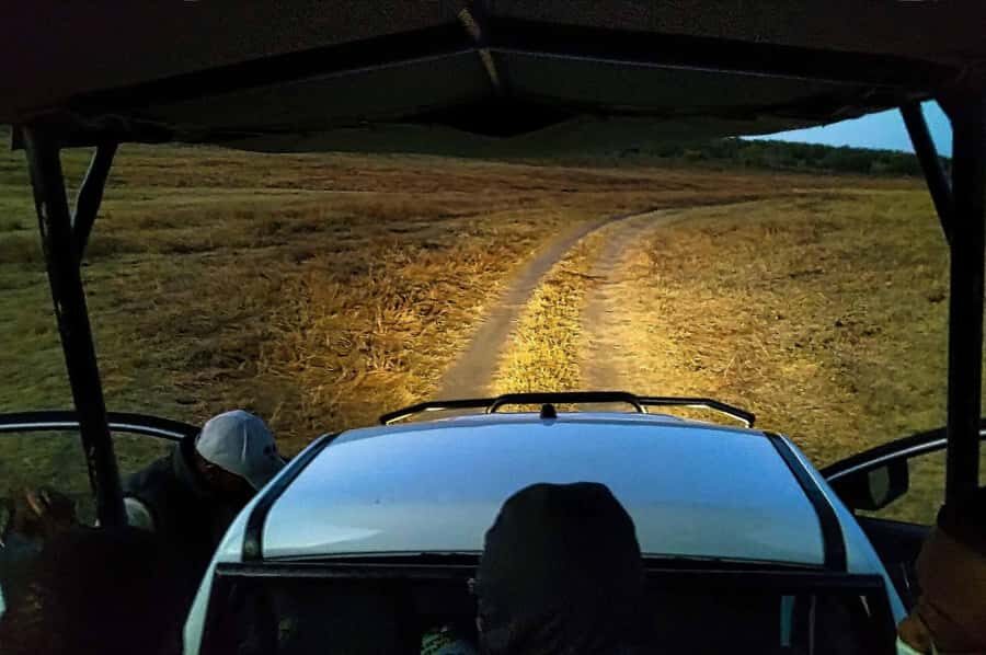 Victoria Falls: Bush Experience and Stargazing D-F-ES-GB - Victoria Falls National Park after dark: drive, wildlife viewing, then quiet