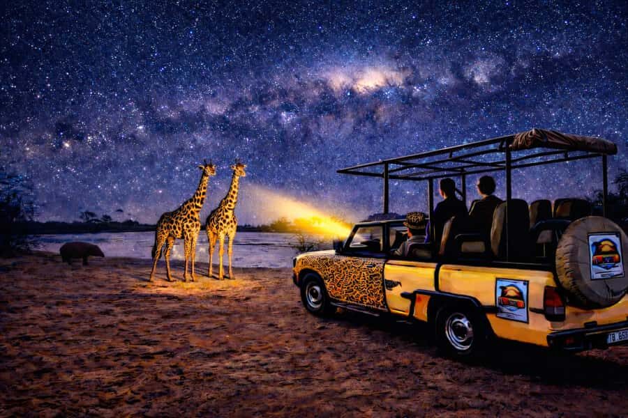 Victoria Falls: Bush Experience and Stargazing D-F-ES-GB - 4x4 flashlight safari: what spotting really feels like