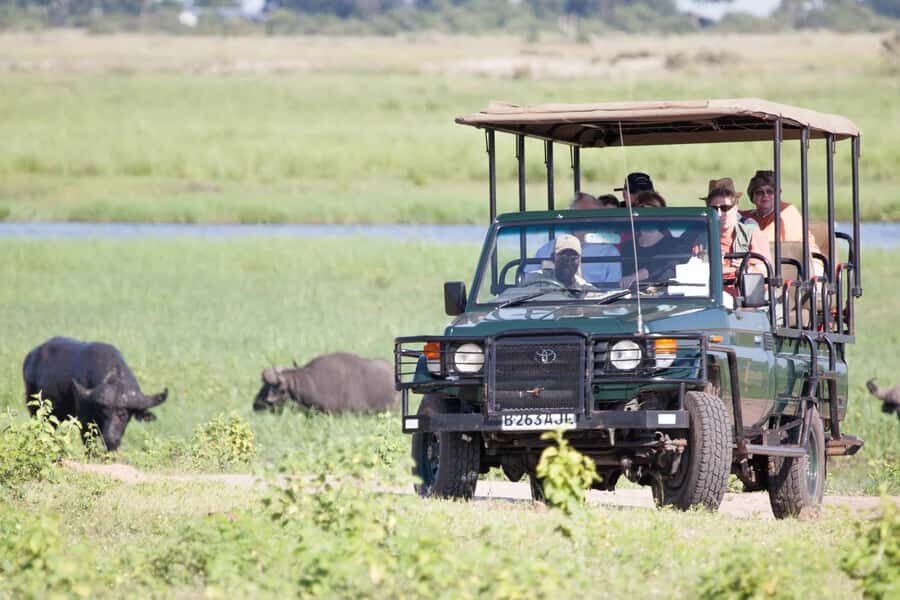 Victoria Falls: Chobe National Park Day Trip with Lunch - Chobe River cruise: elephants, hippos, and crocodiles up close