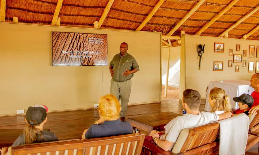 Victoria Falls: Elecrew Through The Eyes Of An Elephant - Key things that make this elephant encounter worth your time