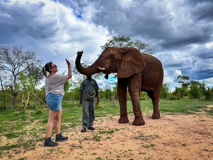 Victoria Falls: Elecrew Through The Eyes Of An Elephant - Why EleCREW’s elephants feel different from the usual “close-up”
