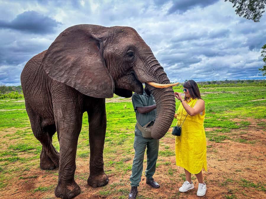 Victoria Falls: Elecrew Through The Eyes Of An Elephant - TTEOE at Jafuta Lodge: learning how elephants experience the world