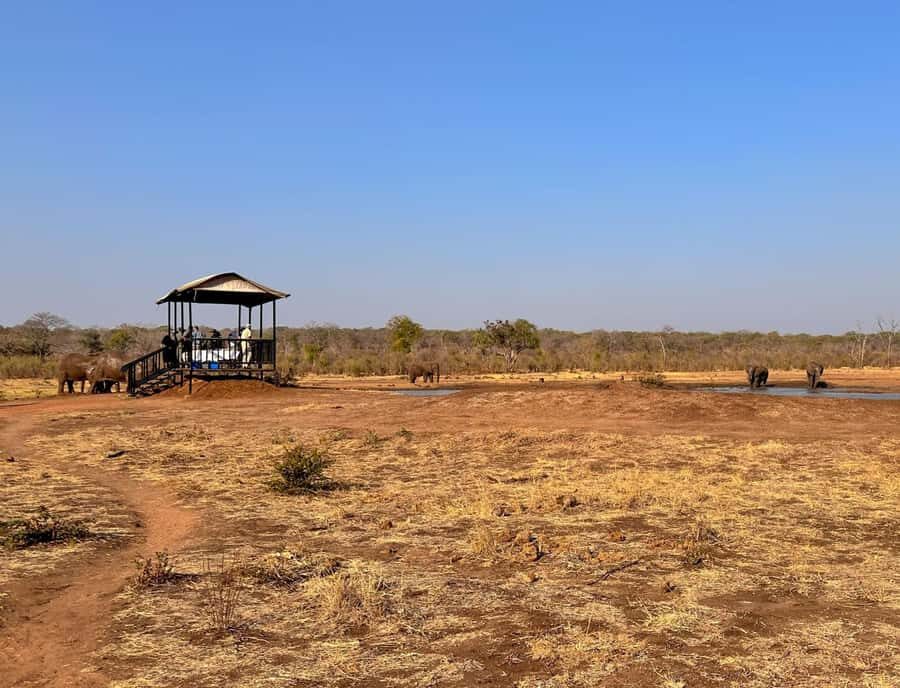 Victoria Falls: Elecrew Through The Eyes Of An Elephant - Conservation work that connects elephants to real people