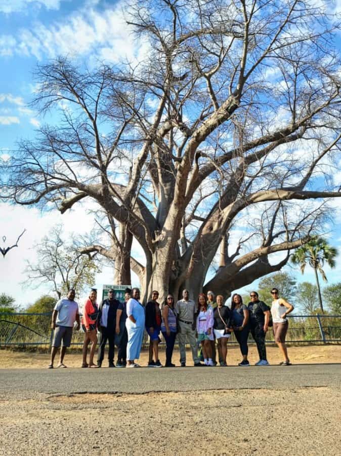 Victoria Falls Full Day Experience - Quick hits before you go