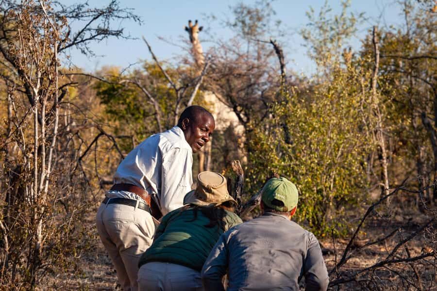 Victoria Falls: Game Walk in the Zambezi National Park - A Walking Safari in Zambezi National Park: what you’re really signing up for