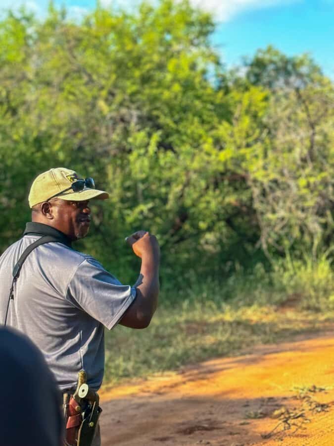 Victoria Falls: Game Walk in the Zambezi National Park - Morning vs afternoon: tea-and-snacks on the first light, drinks at sunset