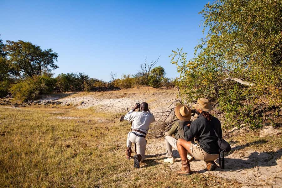 Victoria Falls: Game Walk in the Zambezi National Park - Who this is best for (and who should skip the foot safari)