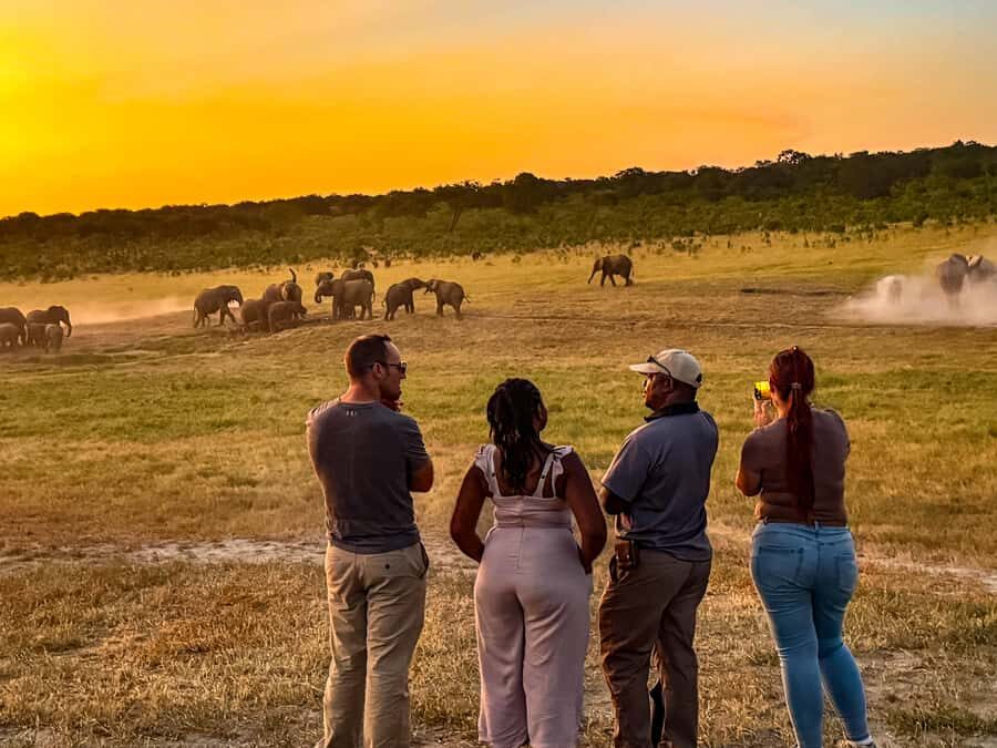 Victoria Falls: Game Walk in the Zambezi National Park - Should you book this Victoria Falls walking safari?