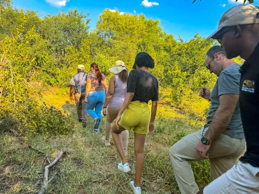 Victoria Falls: Game Walk in the Zambezi National Park - The 15-minute SUV ride: simple logistics, less waiting