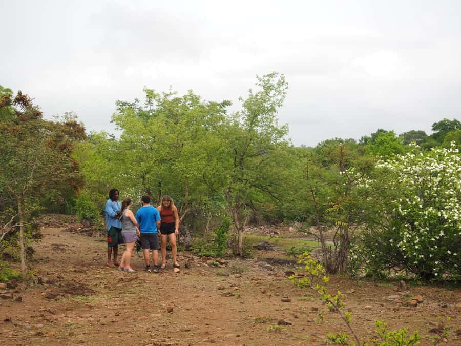 Victoria Falls Gorge Hike & Farm to Table Village Lunch - Price and value: is $120 a fair deal for this 5-hour day?