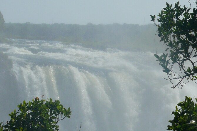 Victoria Falls Guided Tour - What “private tour” means for your day