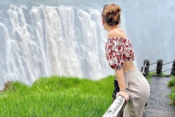Victoria Falls Guided Tour (All Inclusive) - Victoria Falls National Park: viewpoints, mist, and why timing helps