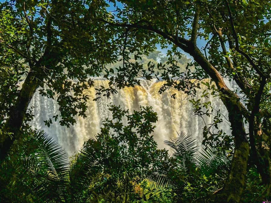 Victoria Falls: Guided Tour of the Victoria Falls - Victoria Falls Feels Easier When Someone Explains What You’re Seeing