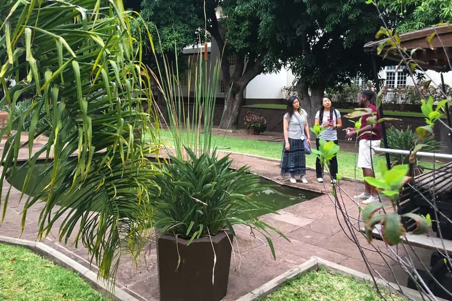 Victoria Falls Guided Tour with High Tea - The guided 3-hour tour: what you’re really getting