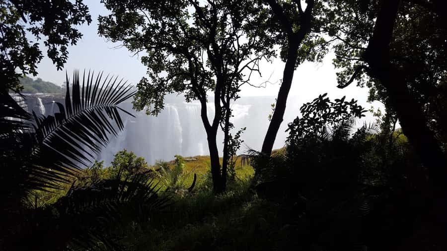 Victoria Falls: Guided Walking Tour - Rainforest Walking and the Best Kind of Intermittent Views