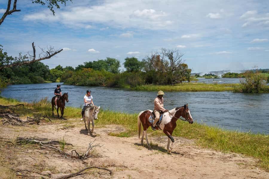 Victoria Falls National Park: Horseback Safari - Wildlife you can realistically hope to see from horseback