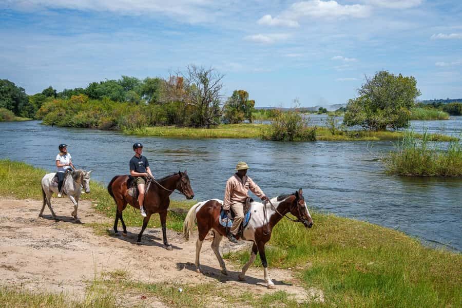 Victoria Falls National Park: Horseback Safari - Horses, helmets, and rider comfort: what “beginner-friendly” means in practice