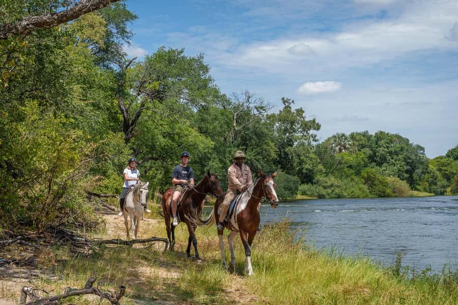 Victoria Falls National Park: Horseback Safari - Meeting point in Livingstone: easy to find, easy to plan
