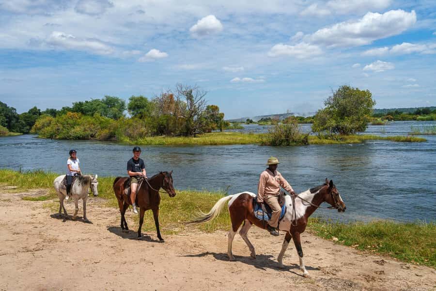 Victoria Falls National Park: Horseback Safari - Who this horseback safari is best for
