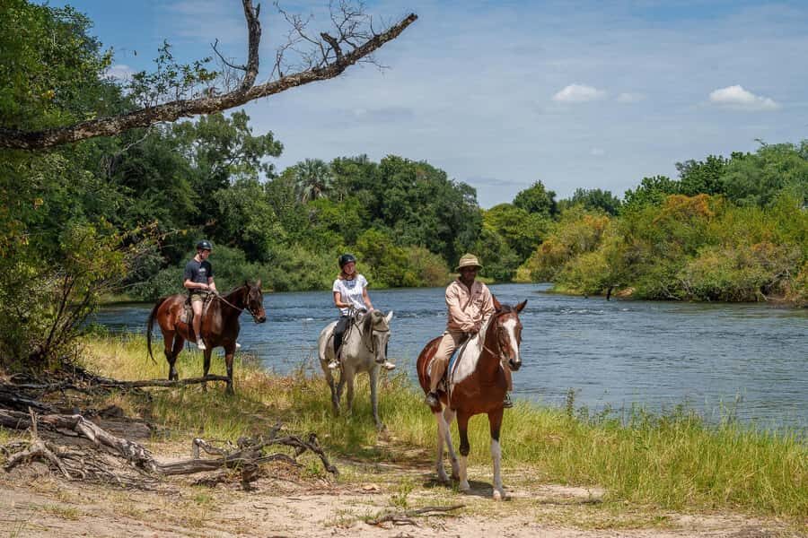 Victoria Falls National Park: Horseback Safari - The 4-hour rhythm: what the safari typically includes