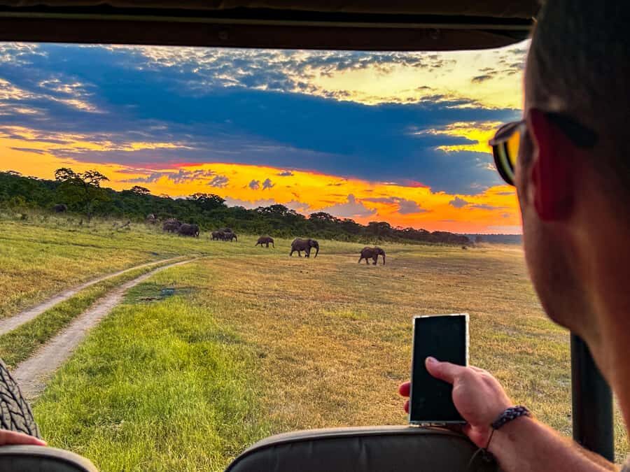 Victoria Falls: Night Game Drive Zambezi National Park - Red spotlights and night-animal etiquette