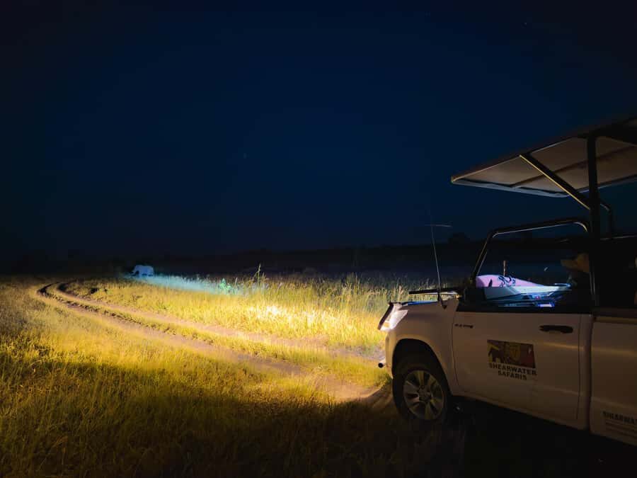 Victoria Falls: Night Game Drive Zambezi National Park - Price and value: $159 plus park fees to budget